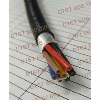 CÁP ĐIỀU KIỂN CÓ LƯỚI CHỐNG NHIỄU 7x0.75mm² (300/500V)