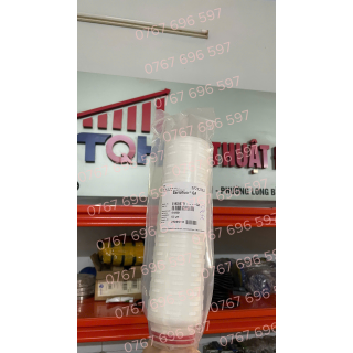 Lõi lọc vi sinh 0,2 μm (micron)