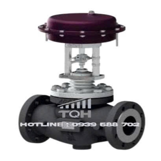 Valsteam ADCA – Van điều khiển khí nén On/Off PV15G gồm lọc khí P10
