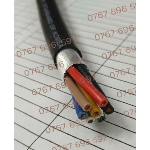 CÁP ĐIỀU KIỂN CÓ LƯỚI CHỐNG NHIỄU 7x0.75mm² (300/500V)